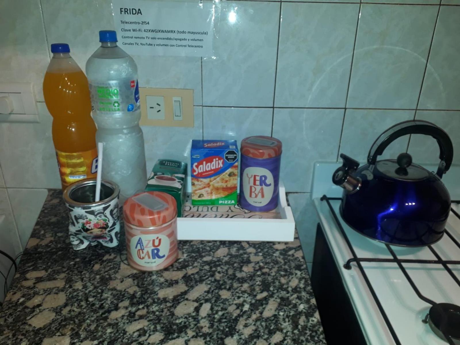 Frida Remis Gratis A Apartment Ezeiza